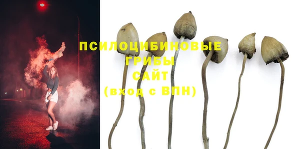 MDMA Premium VHQ Тайга