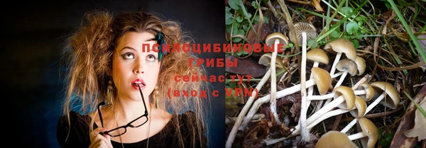 прущая мука Сясьстрой